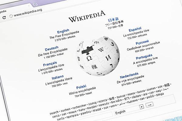 Analyzing the Wikipediasurvey A Look at Demographic Patterns