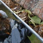 Commercial Gutter Cleaning Melbourne Services for Businesses