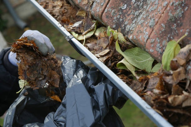 Commercial Gutter Cleaning Melbourne Services for Businesses
